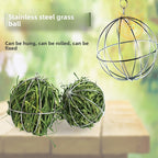 Factory direct 8cm pet grass ball holder - pet supplies wire grass ball stand - suitable for rabbits, chinchillas, and guinea pigs - rabbit cage accessory