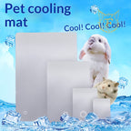 Pet summer cooling aluminum plate, rabbit cooling pad, hamster chinchilla ice mat, heat dissipation plate, summer cooling supplies