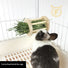 Rabbit wooden grass rack guinea pig chinchilla guinea pig pet rabbit grass bucket built-in fixed hanging grass rack food basin