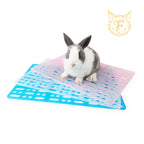 Pet rabbit foot pad anti-bite rabbit cage mat rabbit guinea pig chinchilla mesh leaky feces pad plastic mat