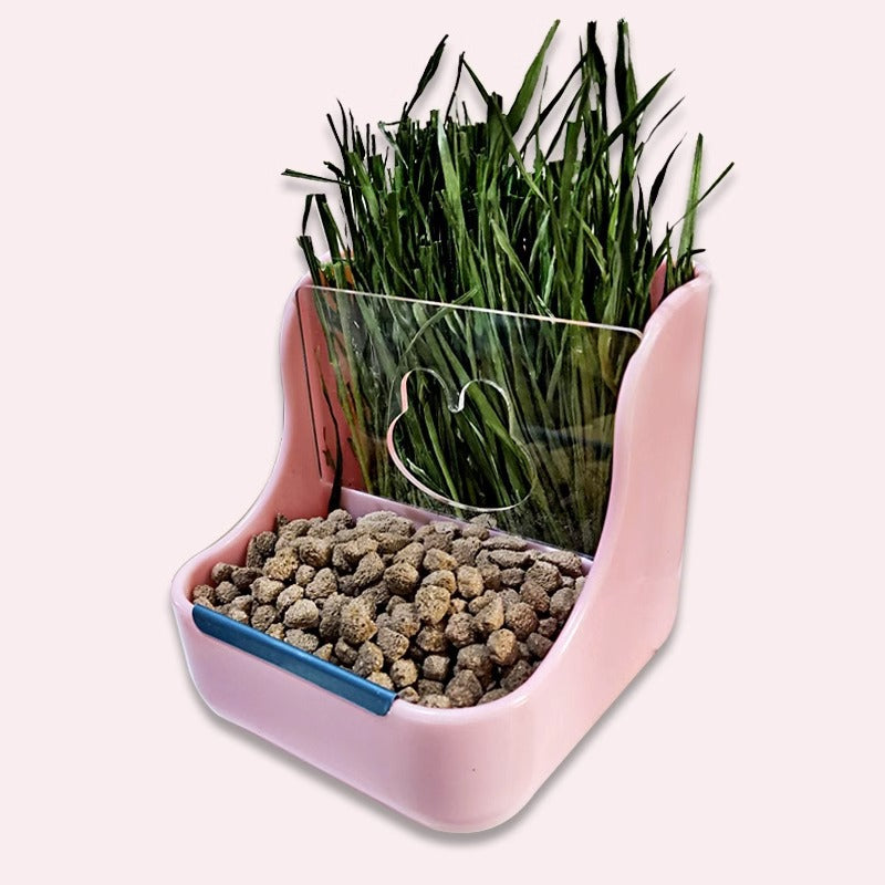 Rabbit 2-in-1 grass rack food bowl anti-rollover chinchilla guinea pig dual-purpose grass bowl feeding box anti-rollover