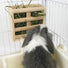 Pet wooden grass frame rabbit food basin food box two-in-one grass frame rabbit rabbit guinea pig chinchilla built-in fixed grass frame