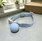 Cross-border pet smart anti-lost device positioning collar with locator adjustable buckle cat dog bell collar