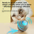 New Arrival Cross-border Automatic Cat Ball Cat Toy Ball Self-pleasure Boredom Interactive Artifact with Fur Pet Supplies