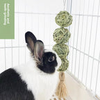 Pet rabbit straw ball hanging string hand-knitted straw ball boring toy rabbit chinchilla teething lantern string toy supplies