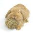Pet hand-knitted water grass ball, teething grass ball, rabbit boredom toy, guinea pig, chinchilla, chewing grass ball, bunny