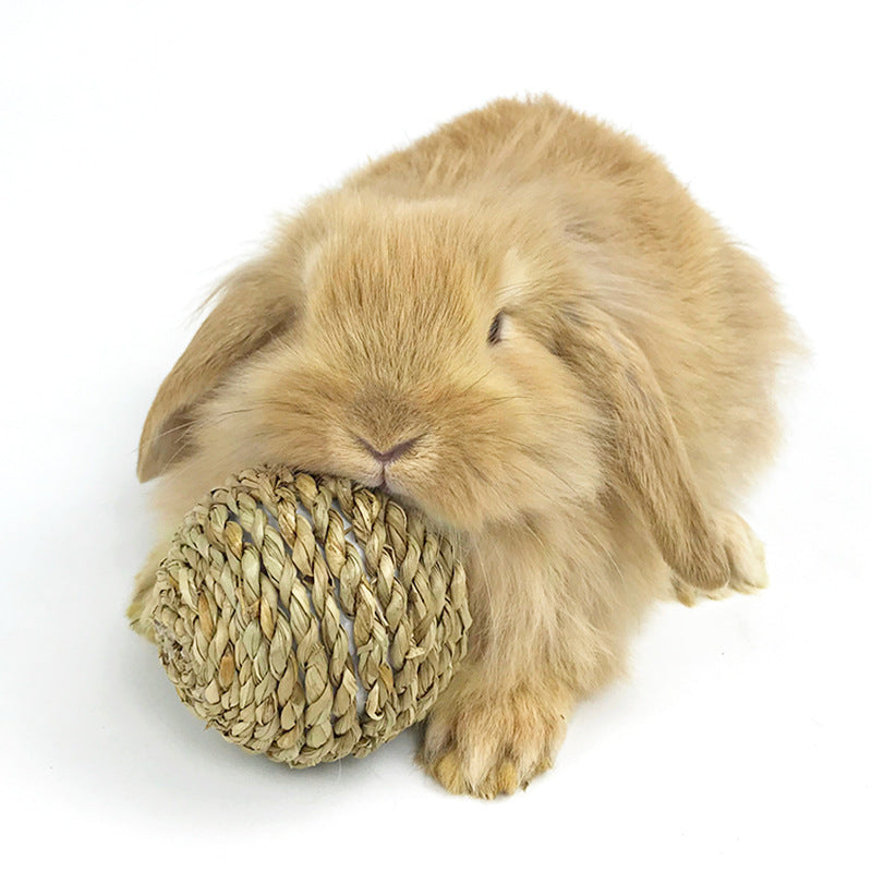 Pet hand-knitted water grass ball, teething grass ball, rabbit boredom toy, guinea pig, chinchilla, chewing grass ball, bunny