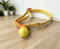 Cross-border pet smart anti-lost device positioning collar with locator adjustable buckle cat dog bell collar