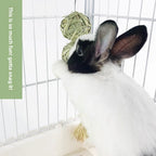 Pet rabbit straw ball hanging string hand-knitted straw ball boring toy rabbit chinchilla teething lantern string toy supplies