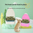 Pet rabbit food bowl hanging anti-turning and anti-biting food bowl fixed food bowl chinchilla guinea pig rabbit food box bowl